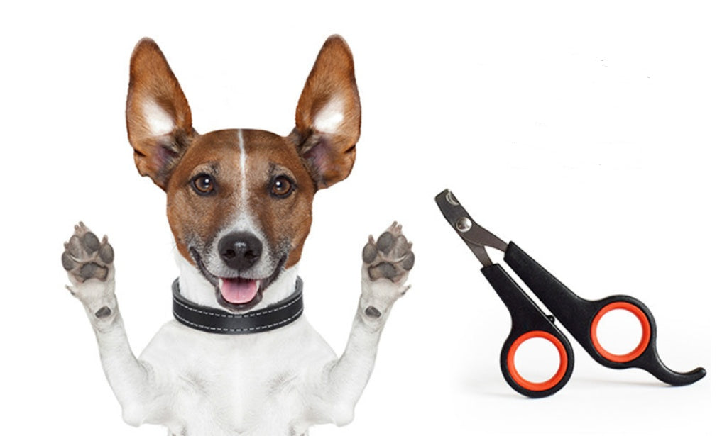 Dog Nail Clipper - Lifestyle360store