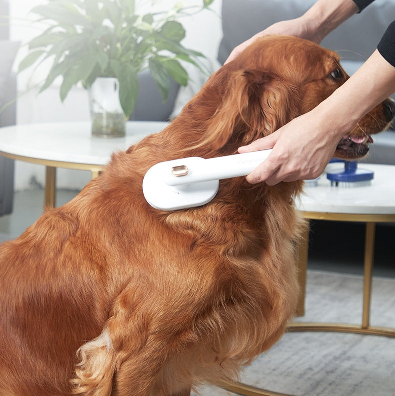 Pet Comb To Remove Floating Hair Brush - Lifestyle360store