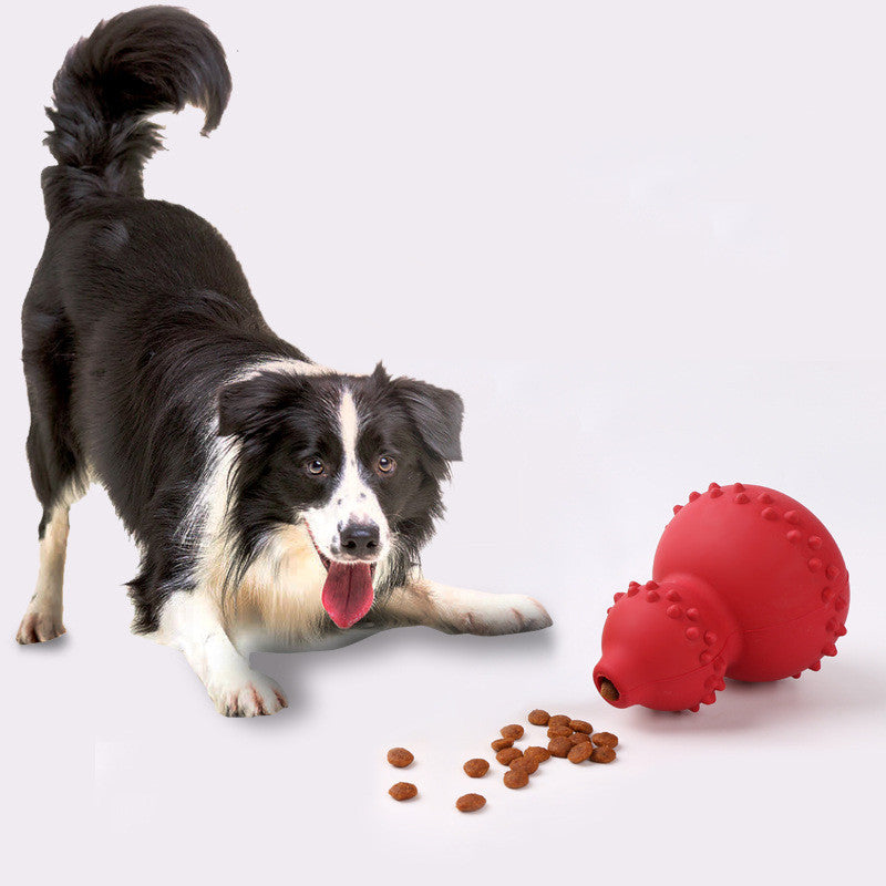 Pet Rubber Resistant Toy - Lifestyle360store